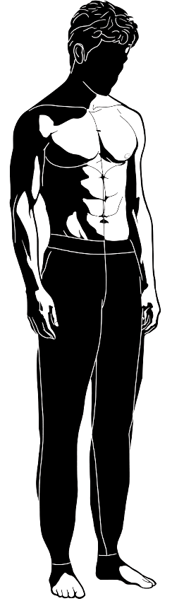Bruce Lee silhouette
