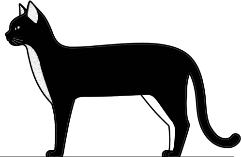 Cat silhouette
