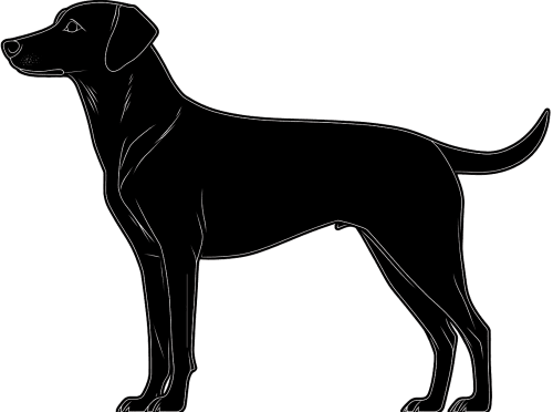 Dog silhouette
