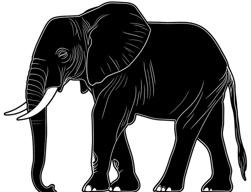 African elephant silhouette