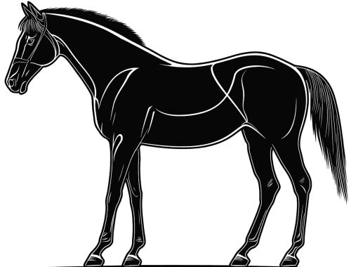 Horse silhouette
