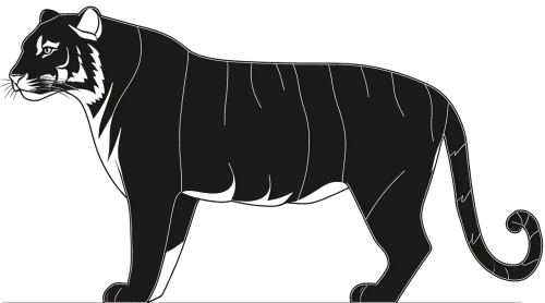 Tiger silhouette