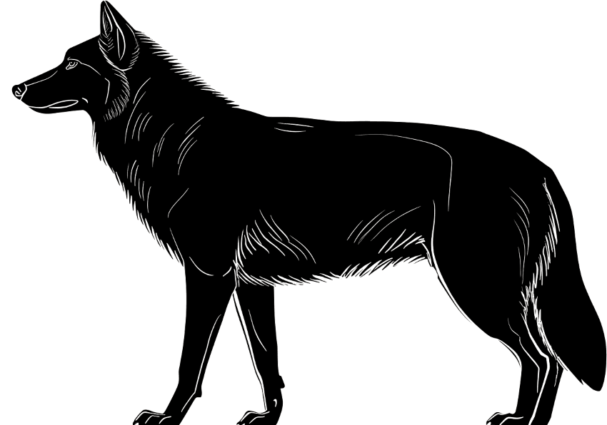 Wolf silhouette